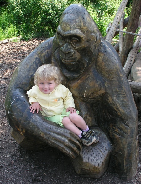 13.5.2008