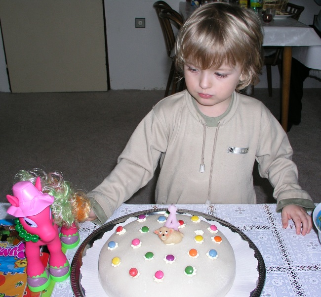 29.3.2009