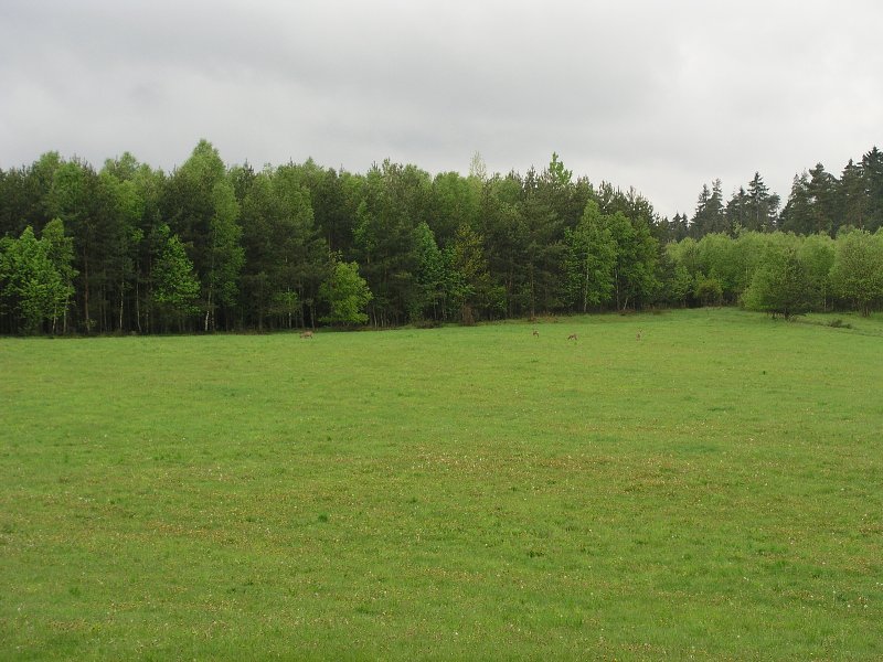 Ralsko &nbsp; 15. kv�tna 2005 7:51:17 &nbsp; &nbsp; P5150061