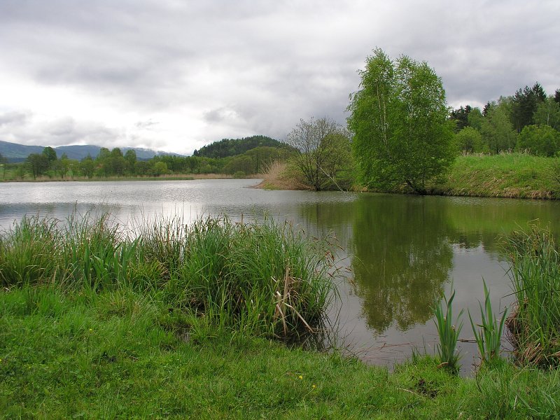 Ralsko &nbsp; 15. kv�tna 2005 9:02:53 &nbsp; &nbsp; P5150063