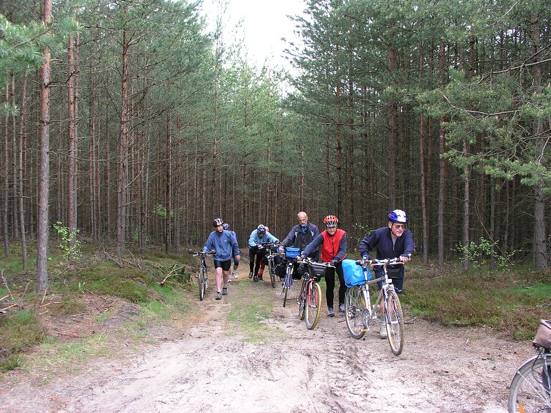 Ralsko &nbsp; 15. kv�tna 2005 9:24:40 &nbsp; &nbsp; P5150065