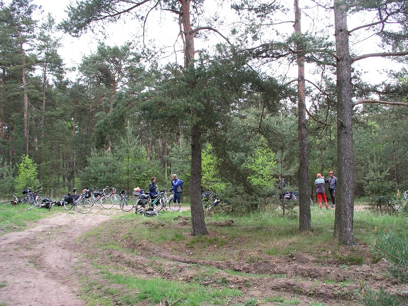 Ralsko &nbsp; 15. kv�tna 2005 10:43:03 &nbsp; &nbsp; P5150071