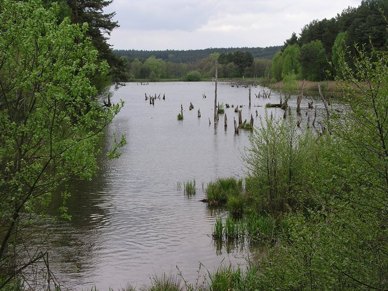 Ralsko &nbsp; 15. kv�tna 2005 10:50:31 &nbsp; &nbsp; P5150072