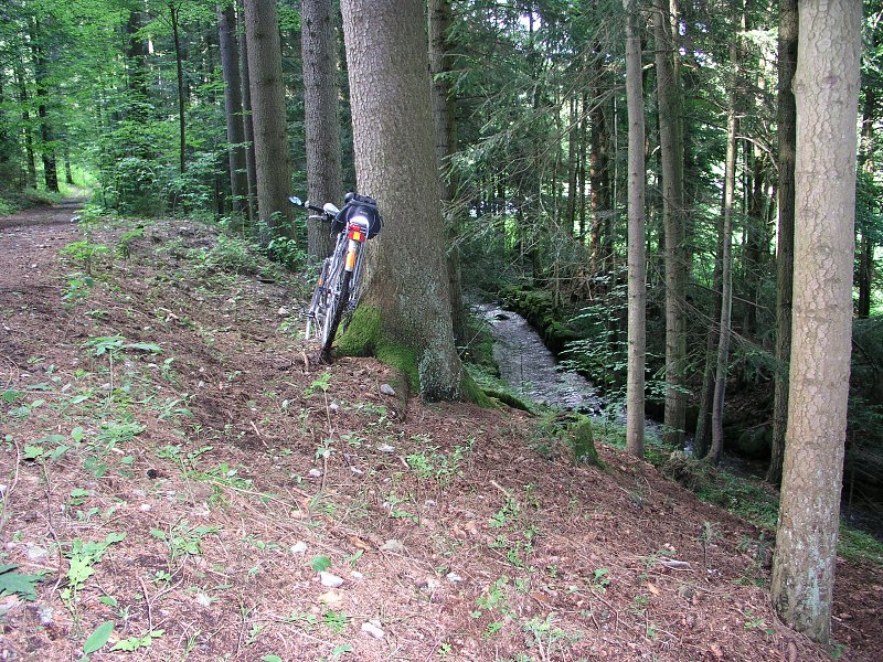 Schwarzenber. kanl  7. ervna 2009 17:15:48     P6070015