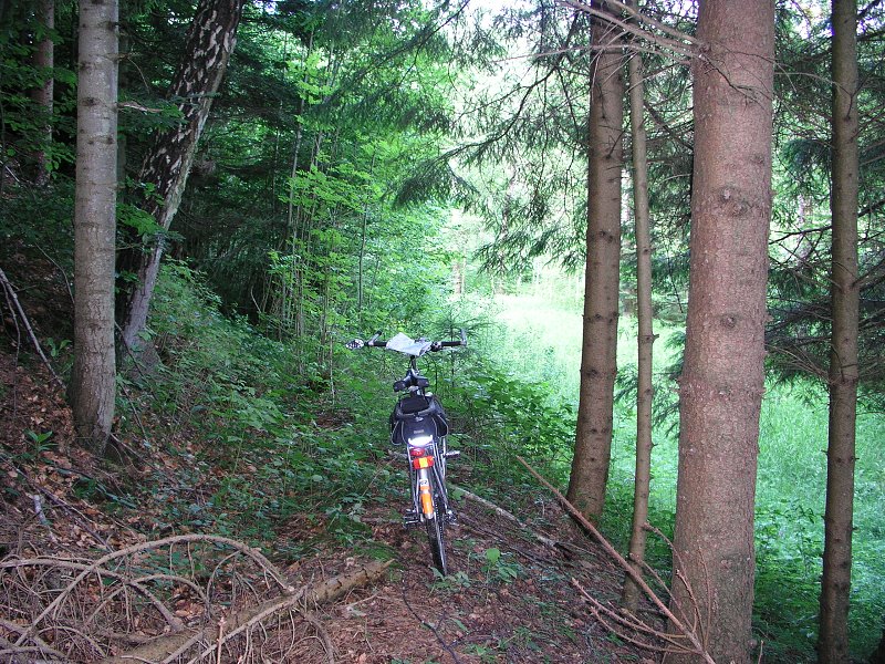 Schwarzenber. kanl  7. ervna 2009 17:23:17     P6070016