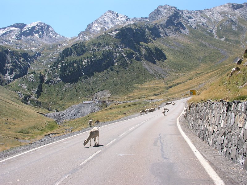 Pyreneje   27. srpna 2012 13:16:01     P8270236