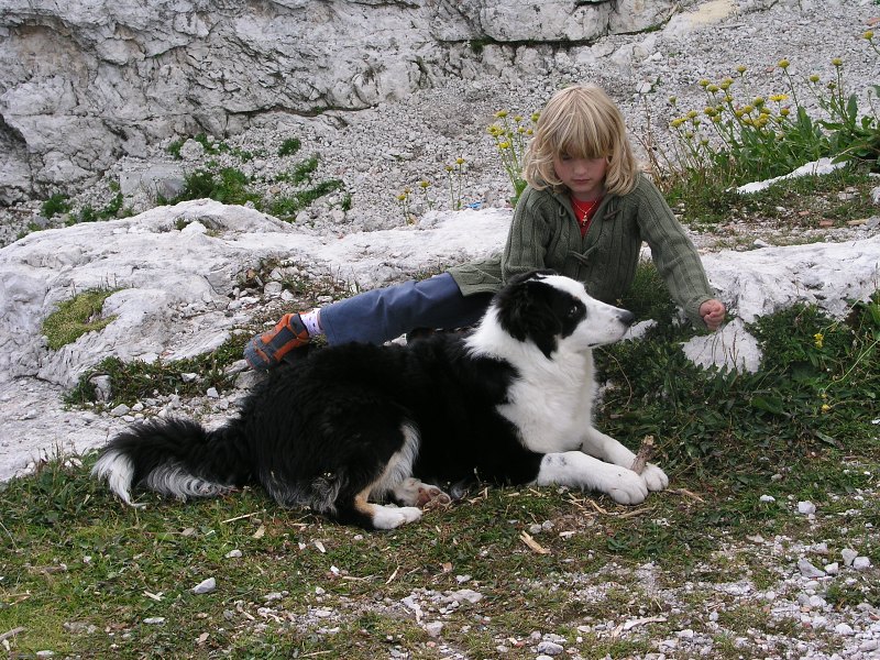 Brenta   22. srpna 2013 16:15:45     P8221033