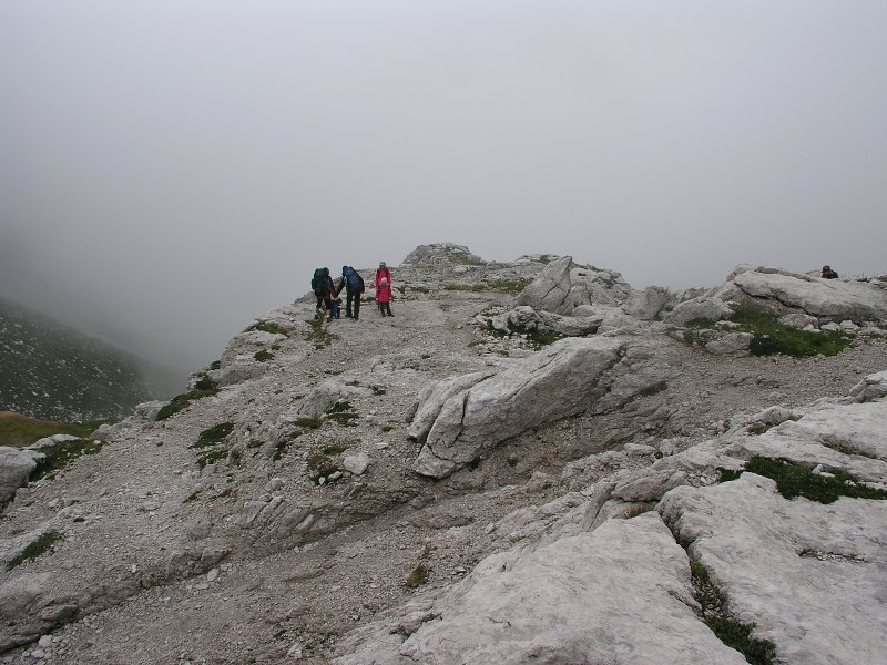 Brenta   23. srpna 2013 8:58:34     P8231038