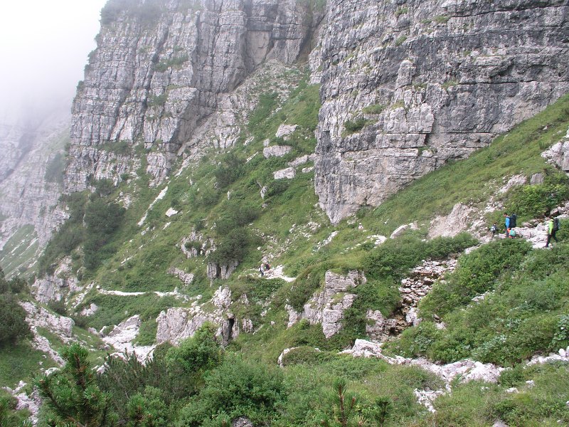 Brenta   23. srpna 2013 11:40:05     P8231048