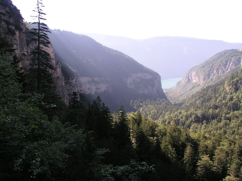 Brenta   24. srpna 2013 9:25:24     P8241061