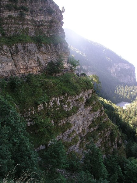 Brenta   24. srpna 2013 9:34:18     P8241062