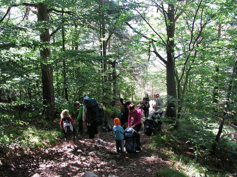 Brenta   24. srpna 2013 10:19:47     P8241067