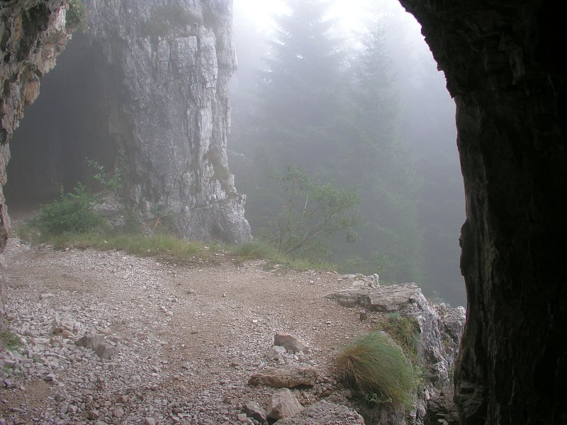 Brenta   25. srpna 2013 13:54:31     P8251083