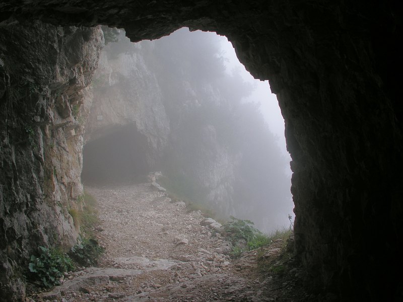 Brenta   25. srpna 2013 13:56:07     P8251084