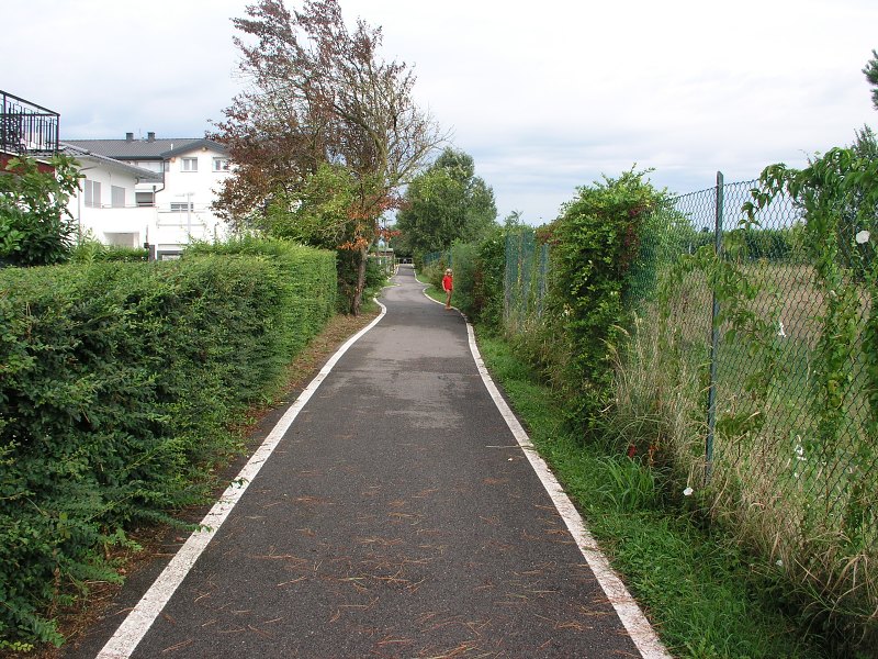 Brenta   26. srpna 2013 9:41:59     P8261089