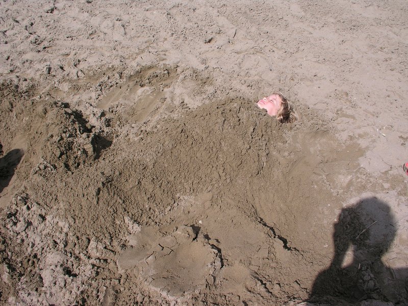 Brenta   26. srpna 2013 10:34:49     P8261092