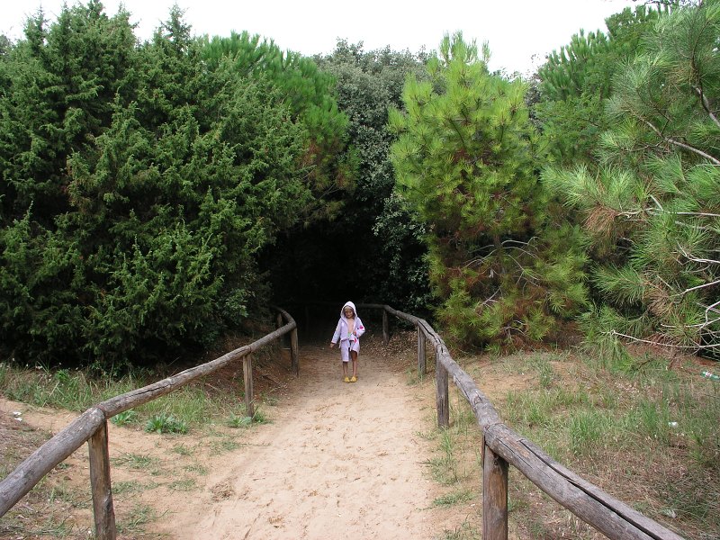 Brenta   26. srpna 2013 12:58:09     P8261099