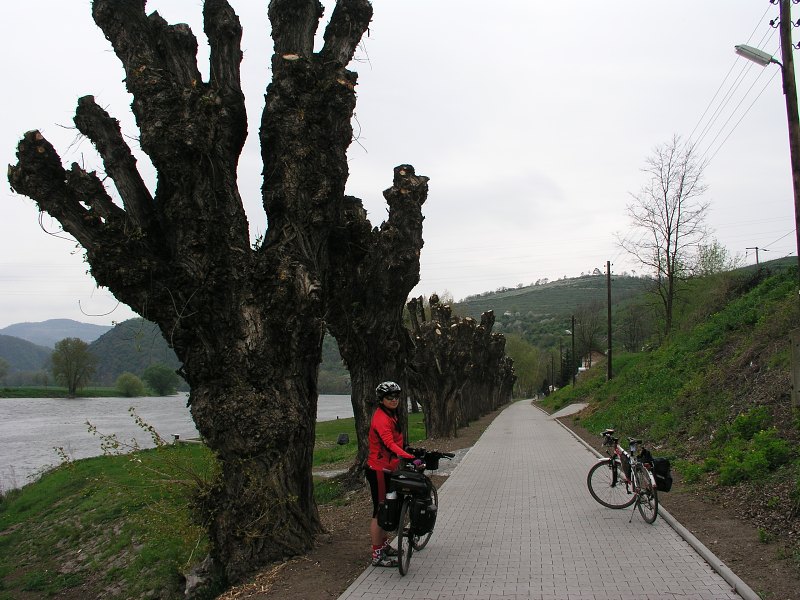 DoHr Labe   30. dubna 2013 16:10:55     P4300081