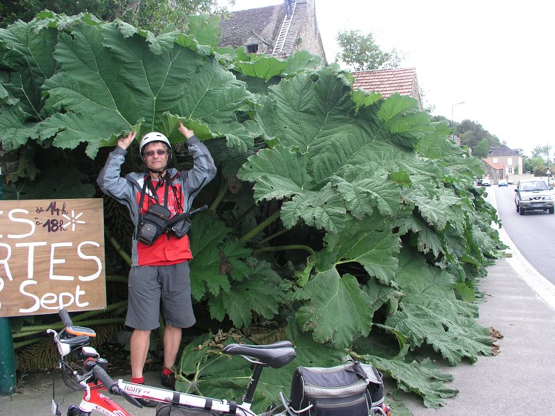 Francie &nbsp; 14. z��� 2013 17:09:10 &nbsp; &nbsp; P9140080