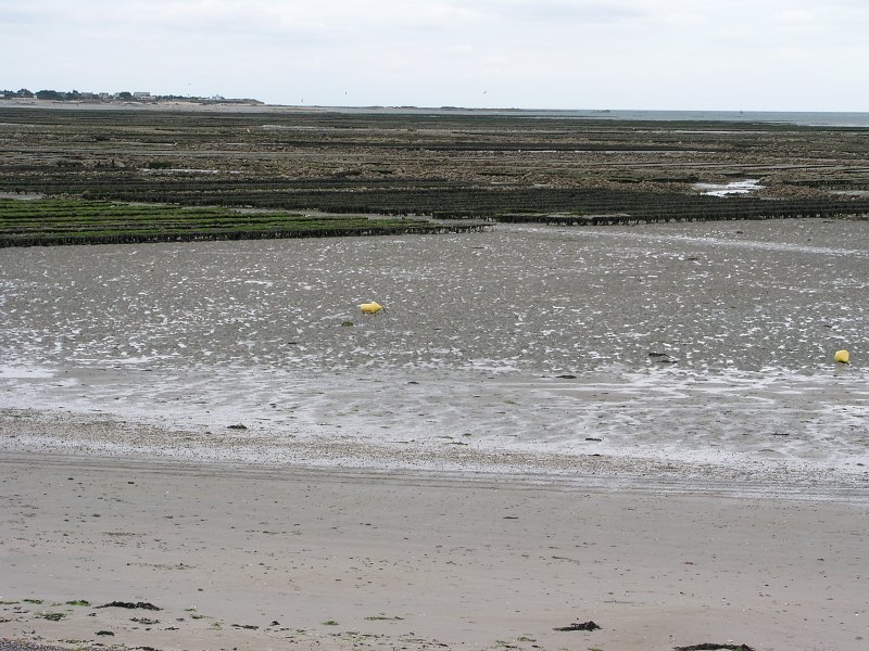 Francie &nbsp; 15. z��� 2013 13:53:36 &nbsp; &nbsp; P9150013