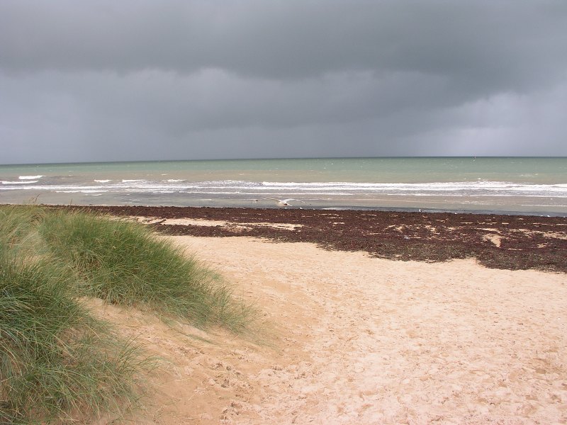 Francie &nbsp; 18. z��� 2013 13:23:01 &nbsp; &nbsp; P9180050