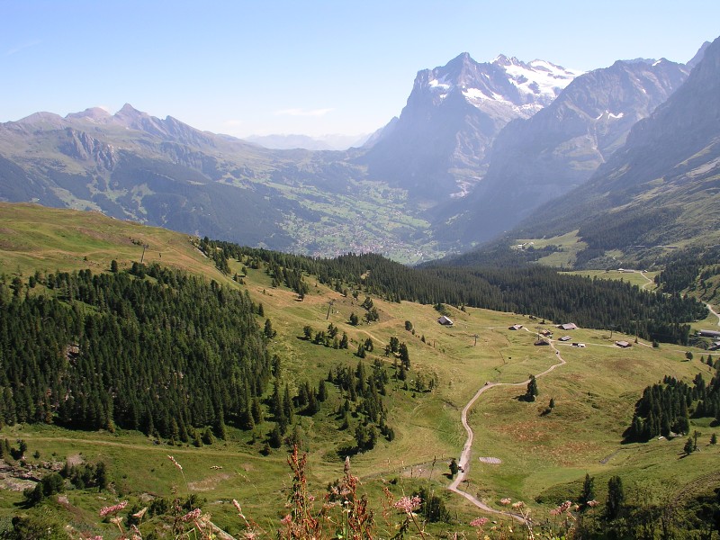 Bernsk Alpy   5. srpna 2015 11:01:35     P8050432 