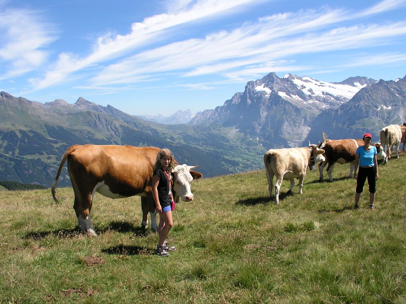 Bernsk Alpy   5. srpna 2015 12:34:10     P8050451 