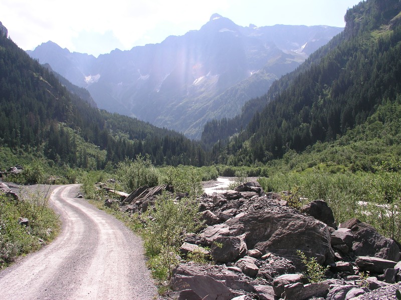 Bernsk Alpy   6. srpna 2015 11:38:32     P8060539 