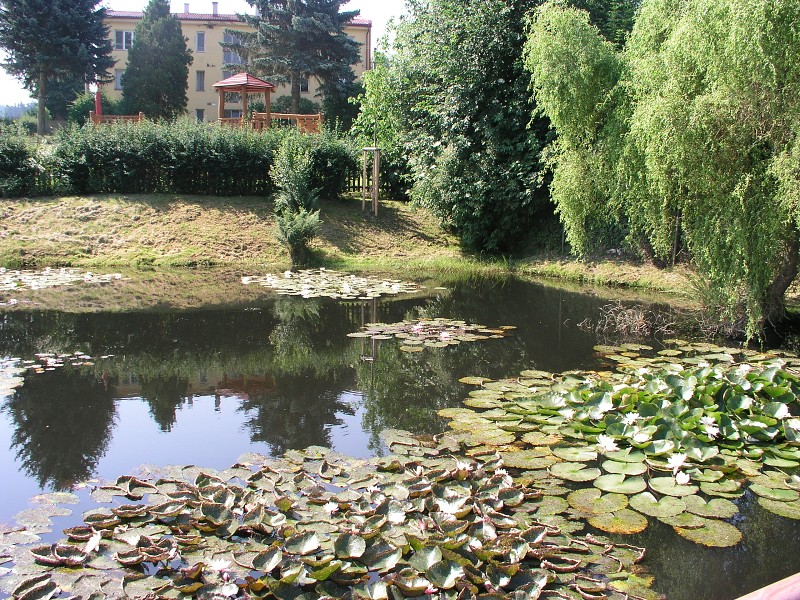 Okolo eska 5   4. ervence 2015 10:39:20     P7040062 