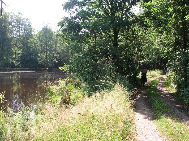 Okolo eska 5   5. ervence 2015 10:43:34     P7050093 