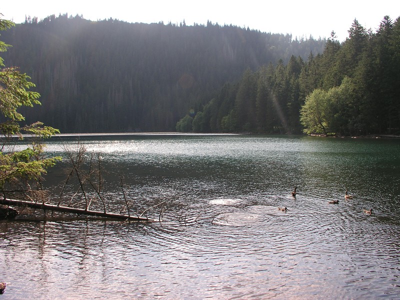 Okolo eska 5   6. ervence 2015 16:55:38     P7060119 