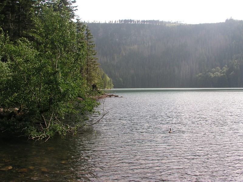 Okolo eska 5   6. ervence 2015 16:57:55     P7060120 