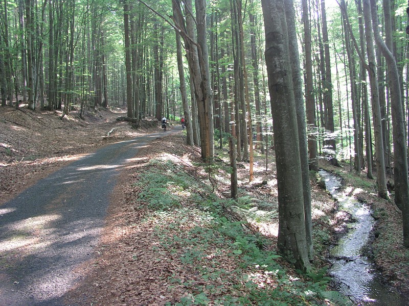 Okolo eska 5   7. ervence 2015 9:08:25     P7070124 