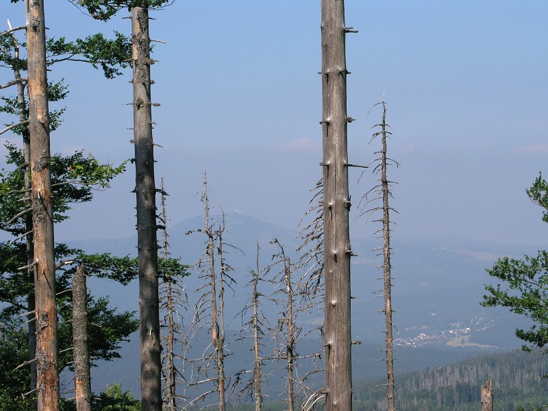 Okolo eska 5   7. ervence 2015 9:50:51     P7070125 