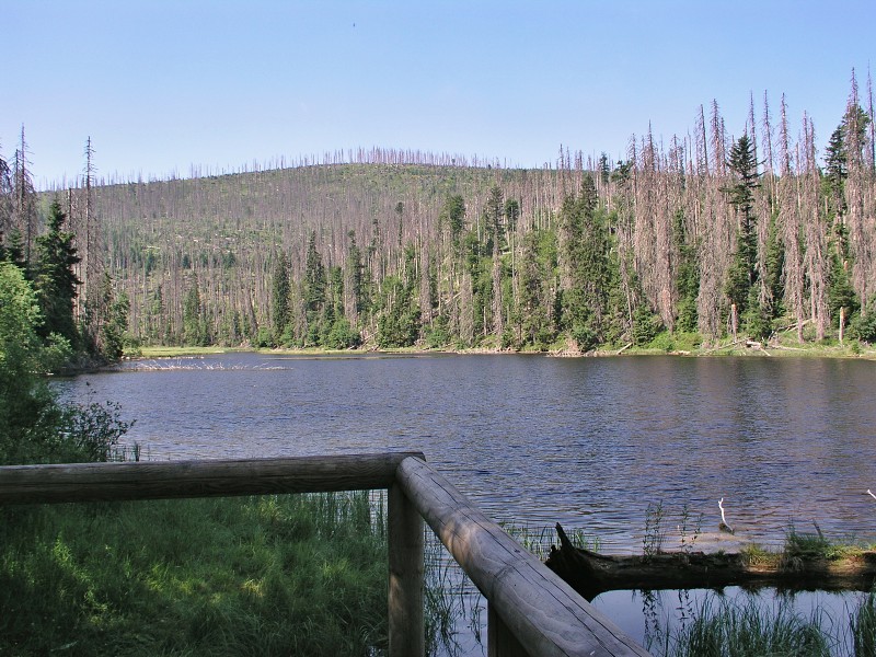 Okolo eska 5   7. ervence 2015 10:34:34     P7070133 