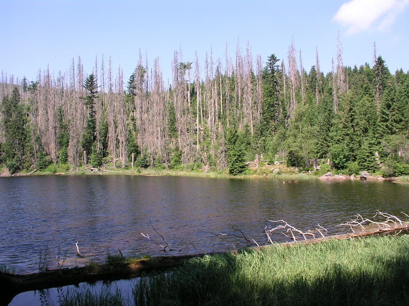 Okolo eska 5   7. ervence 2015 10:34:45     P7070134 