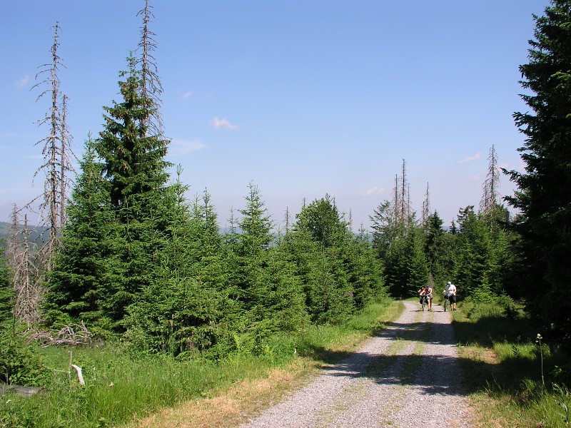 Okolo eska 5   7. ervence 2015 10:55:06     P7070138 