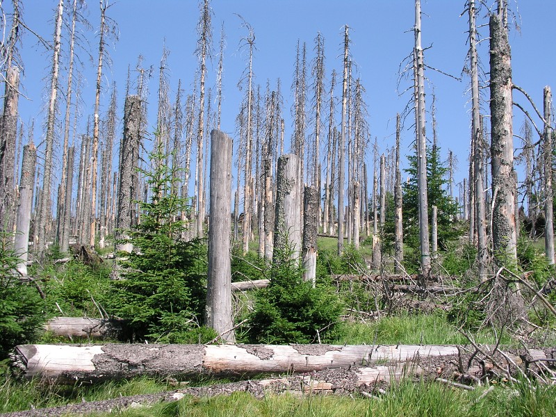 Okolo eska 5   7. ervence 2015 11:00:53     P7070139 