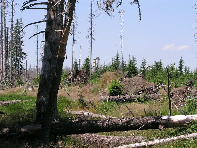 Okolo eska 5   7. ervence 2015 12:37:00     P7070142 