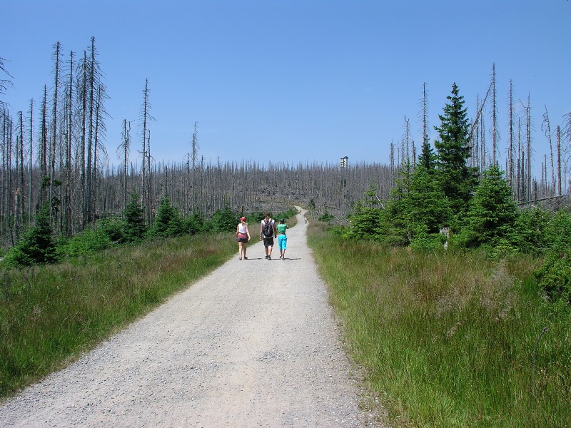 Okolo eska 5   7. ervence 2015 12:39:48     P7070143 