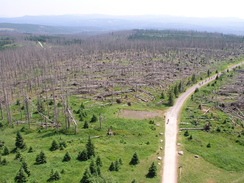 Okolo eska 5   7. ervence 2015 13:29:57     P7070145 