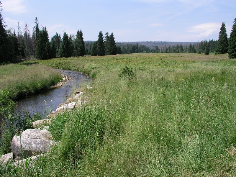 Okolo eska 5   7. ervence 2015 14:14:21     P7070149 