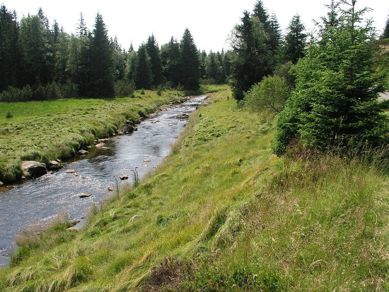 Okolo eska 5   7. ervence 2015 14:27:57     P7070154 