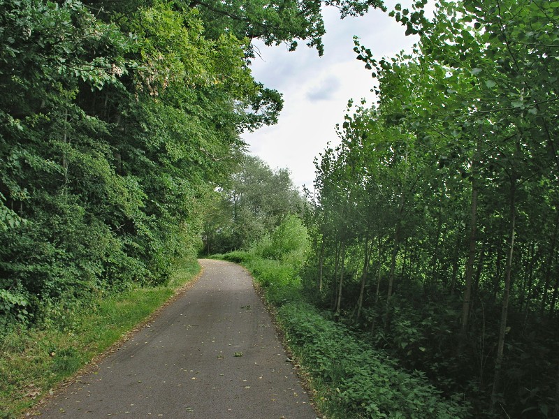 Okolo eska 5   9. ervence 2015 8:48:45     P7090177 