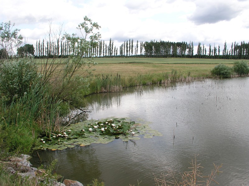 Okolo eska 5   9. ervence 2015 10:41:12     P7090184 