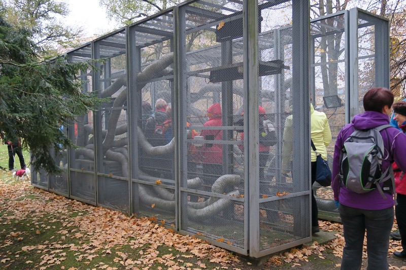 Liberec &nbsp; 5. listopadu 2016 16:10:07 &nbsp; &nbsp; C161105_161006_020 