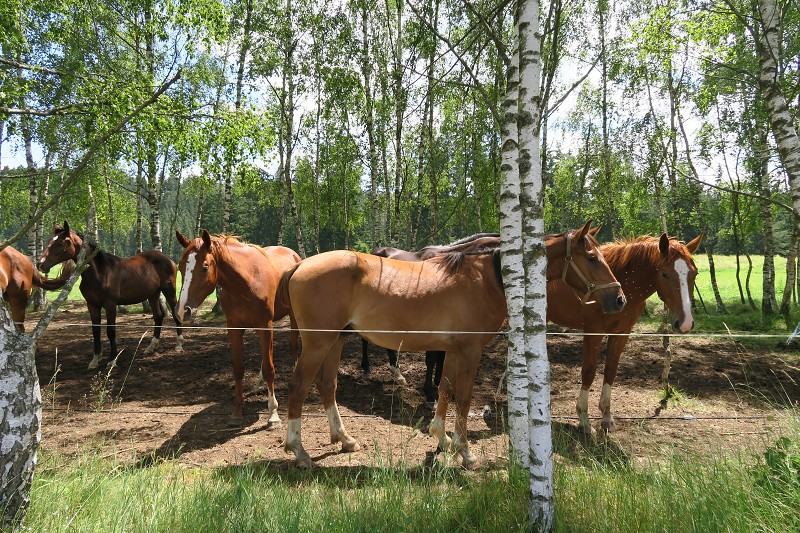 Okolo �eska 6 &nbsp; 3. �ervence 2016 12:43:11 &nbsp; &nbsp; C160703_124310_934 