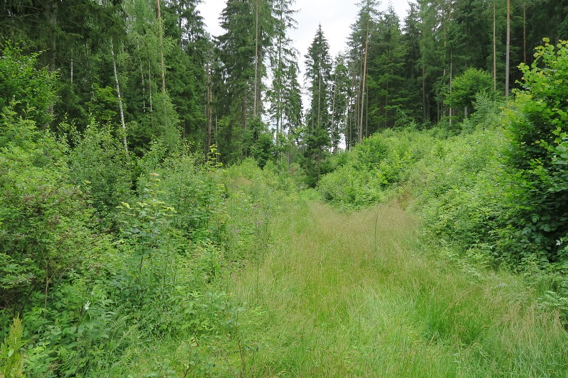 Okolo �eska 6 &nbsp; 3. �ervence 2016 13:49:53 &nbsp; &nbsp; C160703_134952_941 