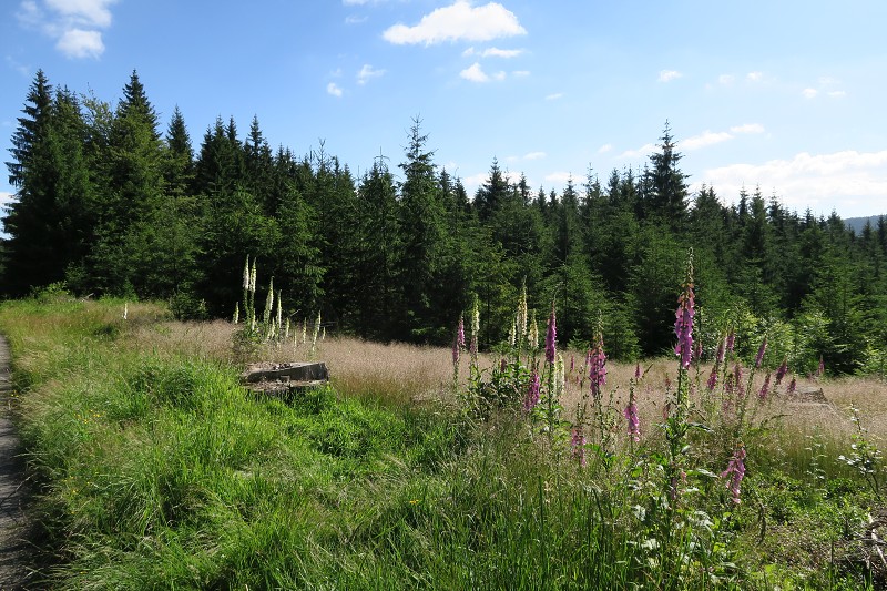 Okolo �eska 6 &nbsp; 4. �ervence 2016 9:22:16 &nbsp; &nbsp; C160704_092216_967 