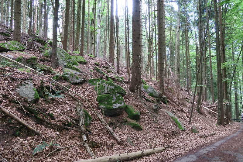 Okolo �eska 6 &nbsp; 4. �ervence 2016 11:43:50 &nbsp; &nbsp; C160704_114350_975 